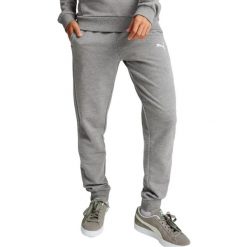 Damskie Spodnie Do Biegania Team Goal Casuals. Szare spodnie sportowe damskie Puma, m, bez wzorów, z bawełny, do biegania. Za 310.99 zł.