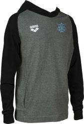 Arena Bluza sportowa z kapturem Arena Bishamon R.L. Bluzy męskie Arena, l, bez wzorów, z kapturem. Za 279.99 zł.