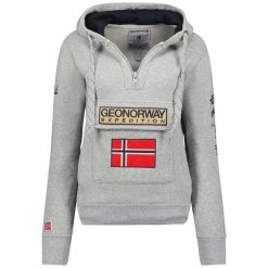 Bluza męska Geographical Norway 3/4 GYMCLASS DISTRI B-GREY 100 (WU1293H/GN. Szare bluzy męskie Geographical Norway, m, bez wzorów, bez kaptura, trekkingowe. Za 139.00 zł.