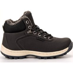 Ax Boxing szare Ocieplane Buty Trekkingowe. Szare trekkingi damskie AX BOXING, na zimę, climacool (adidas). W wyprzedaży za 149.00 zł.