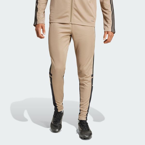 Spodnie Squadra 25 Training. Brązowe spodnie sportowe męskie Adidas, xs, bez wzorów, z materiału, na fitness i siłownię. Za 199.00 zł.