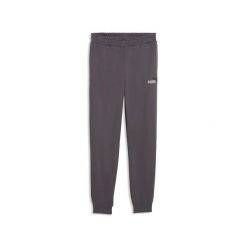 Spodnie Puma Ess 2 Color No. 1 Logo Sweatpants Fl Cl Dorośli. Szare spodnie sportowe męskie Puma, s, bez wzorów, z bawełny, do biegania. Za 271.99 zł.