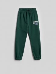 4F Spodnie dresowe joggery chłopięce - zielone 134 (8-9 lat). Zielone spodnie sportowe dla chłopców 4f, bez wzorów, z dresówki, sportowe. Za 99.99 zł.