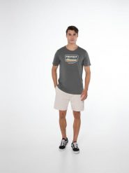 Koszulka męska Protest PRTCAARLO t-shirt. Szare t-shirty męskie Protest, na lato, m, bez wzorów, z bawełny, eleganckie, bez kołnierzyka. Za 79.90 zł.