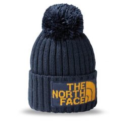 Czapka The North Face. Niebieskie czapki i kapelusze męskie The North Face, na zimę, bez wzorów. Za 149.99 zł.