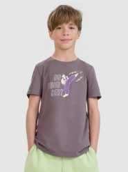 4F T-shirt regular z nadrukiem chłopięcy - szary 164 (13-14 lat). Szare t-shirty dla chłopców 4f, bez wzorów, z bawełny, bez ramiączek. W wyprzedaży za 19.99 zł.