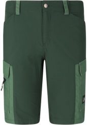 Szorty Whistler Rommy. Zielone szorty męskie Whistler, l, bez wzorów, z materiału. Za 289.00 zł.