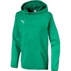Bluza dla chłopca Puma Liga Casuals Hoody zielona 655636 05. Zielone bluzy dla chłopców Puma, bez wzorów, z bawełny, bez ramiączek, z kapturem. Za 194.43 zł.