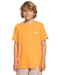 Koszulka z krótkim rękawem dla Chłopcy BASIC Pomarańczowy. Brązowe t-shirty dla chłopców Quiksilver, bez wzorów, z bawełny, bez ramiączek. Za 65.00 zł.