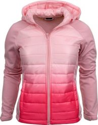 4f Kurtka przejściowa softshell z kapturem dla dziewczynki 4F jasny róż HJZ21 JSFD002 56S 164cm. Czerwone kurtki i płaszcze dla dziewczynek 4f, bez wzorów, z softshellu, z kapturem. Za 149.16 zł.