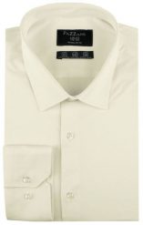 Jednokolorowa, Bawełniana Koszula o Prostym Kroju - Pistacjowa. Zielone koszule męskie Pazzani, bez wzorów, z bawełny, eleganckie, bez kołnierzyka, bez ramiączek. Za 169.00 zł.