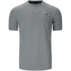 T-shirt Virtus Nessee. Szare t-shirty męskie VIRTUS, m, bez wzorów, bez kołnierzyka. Za 175.00 zł.