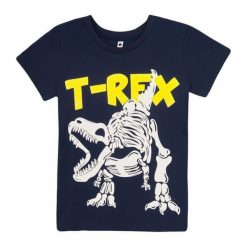 Garnamama Koszulka Chłopięca 104 Niebieska. T-shirty dla chłopców Garnamama. Za 33.00 zł.