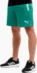 Puma Spodenki męskie Puma teamLIGA zielone 704924 05 L. Zielone krótkie spodenki sportowe męskie Puma, l, bez wzorów. Za 89.26 zł.