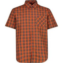 Cmp Man Shirt Koszula męska 100% poliester – 29ZV Antracite-Orange-Vaniglia. Brązowe koszule męskie CMP, m, bez wzorów, z poliesteru, klasyczne, bez kołnierzyka, bez ramiączek. Za 197.50 zł.
