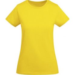 Damska Koszulka Z Krótkim Rękawem Breda. Żółte koszulki sportowe damskie ROLY, xl, bez wzorów, sportowe, bez kołnierzyka. Za 42.99 zł.