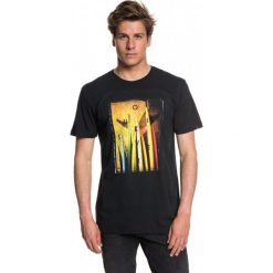 Quiksilver T-Shirt Męski Quivcentralss M Tees kvj0 Czarny L. T-shirty męskie marki Quiksilver. W wyprzedaży za 85.00 zł.