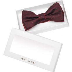 MUCHA MĘSKA W PUDEŁKU PREZENTOWYM. Krawaty i muchy marki TOP SECRET. W wyprzedaży za 24.99 zł.