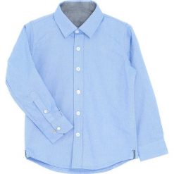 Jasnoniebieska Koszula Cordial. Niebieskie koszule dla chłopców Born2be. Za 59.99 zł.