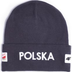 Czapka uniseks Polska PyeongChang 2018 CAU900R - grafit. Czapki i kapelusze męskie marki 4f. W wyprzedaży za 39.99 zł.