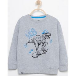 Bluza z nadrukiem dinozaura - Jasny szar. Bluzy dla chłopców Reserved, z nadrukiem. W wyprzedaży za 14.99 zł.