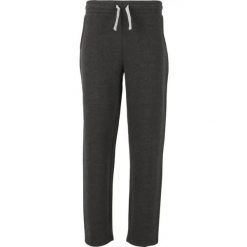 Spodnie dresowe Cruz Ramin. Szare spodnie sportowe męskie CRUZ, bez wzorów, z dresówki, trekkingowe. Za 170.50 zł.