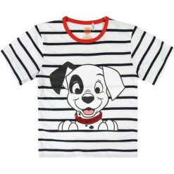 Disney Koszulka Dziecięca 101 Dalmatyńczyków 104 Biały. Bluzki dla dziewczynek Disney. Za 35.00 zł.