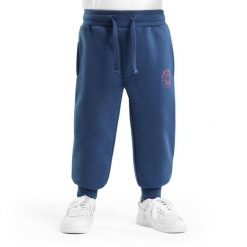 Spodnie dresowe joggery lifestyle chłopięce Boo. Niebieskie spodnie sportowe dla chłopców SIROKO, bez wzorów, z dresówki, sportowe, na jogę i pilates. Za 105.00 zł.