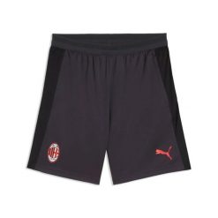 Szorty treningowe AC Milan. Szare krótkie spodenki sportowe męskie Puma, l, z aplikacjami, z materiału, na fitness i siłownię. Za 229.50 zł.