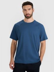 4F T-shirt oversize gładki męski - turkusowy XXL. Niebieskie koszulki sportowe męskie 4f, m, z aplikacjami, z bawełny, klasyczne, bez kołnierzyka. Za 69.99 zł.