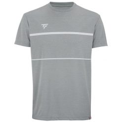 Koszulka tenisowa męska z krótkimrękawem Tecnifibre Team Tech Tee. Szare koszulki sportowe męskie TECNIFIBRE, m, bez wzorów, bez kołnierzyka, bez ramiączek, tenisowe. Za 159.00 zł.