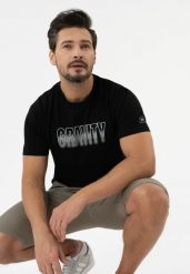 T-shirt z printem, Comfort Fit, T-SILVER. Szare t-shirty męskie Volcano, l, bez wzorów, z bawełny, klasyczne, bez kołnierzyka. Za 69.99 zł.