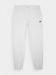 4F Spodnie dresowe joggery męskie - szare M. Szare spodnie sportowe męskie 4f, l, bez wzorów, z bawełny. Za 149.99 zł.