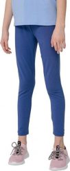 4f Legginsy dla dziewczynki 4F niebieskie HJL22 JLEG001 33S : Rozmiar - 146cm. Niebieskie legginsy dla dziewczynek 4f, bez wzorów. Za 25.31 zł.