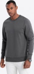 Ombre Bluza męska bez kaptura BASIC - grafitowa V10 OM-SSBN-0119 L. Szare bluzy męskie Ombre, l, bez wzorów, bez kaptura. Za 59.99 zł.