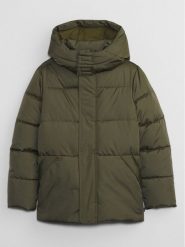 Gap Kurtka zimowa 726307-00 Zielony Regular Fit. Zielone buty zimowe chłopięce GAP, na zimę, bez wzorów, z syntetyku, bez kaptura. Za 239.99 zł.