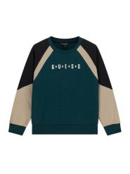 Guess Bluza L6BQ02 K5917 Zielony ciemny Oversize. Zielone bluzy dla chłopców Guess, z aplikacjami, z bawełny, bez ramiączek, bez kaptura. Za 194.99 zł.