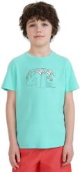 KOSZULKA CHŁOPIĘCA DZIECIĘCA 4F M1917 MIĘTOWA BAWEŁNIANA. Zielone t-shirty dla chłopców 4f, bez wzorów, z bawełny, bez ramiączek. Za 34.45 zł.
