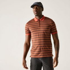 Męska koszulka polo Kildra w paski z siateczki. Brązowe koszulki polo męskie Regatta, m, bez wzorów, z poliesteru, bez ramiączek. Za 159.99 zł.