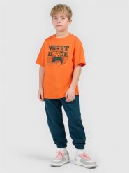 4F T-shirt loose z nadrukiem chłopięcy - pomarańczowy 128 (7-8 lat). Brązowe t-shirty dla chłopców 4f, bez wzorów, z bawełny, bez ramiączek. Za 39.99 zł.