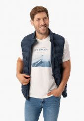 T-shirt z nadrukiem, Comfort Fit, T-SAIL. Zielone t-shirty męskie Volcano, l, bez wzorów, z bawełny, wakacyjne, bez kołnierzyka. Za 69.99 zł.