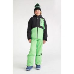 Spodnie zimowe na narty i snowboard chłopięce O'neill Hammer 10K/10K. Zielone buty zimowe chłopięce O'Neill, bez wzorów, bez zapięcia. Za 179.00 zł.