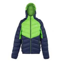 Męska Kurtka Ocieplana Z Kapturem Dalent. Niebieskie kurtki sportowe męskie Regatta, m, bez wzorów, z puchu, trekkingowe. Za 154.99 zł.