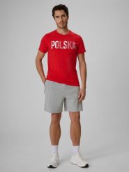 4F Spodenki kibica męskie - szare XXL. Szare szorty męskie 4f, m, bez wzorów, z dresówki. Za 149.99 zł.