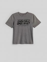 4F T-shirt regular z nadrukiem chłopięcy - szary 140 (9-10 lat). Szare t-shirty dla chłopców 4f, bez wzorów, z dzianiny, bez ramiączek. Za 49.99 zł.