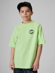 4F T-shirt loose z nadrukiem chłopięcy - zielony 134/140 (8-10 lat). Zielone t-shirty dla chłopców 4f, bez wzorów, z bawełny, bez ramiączek. Za 59.99 zł.