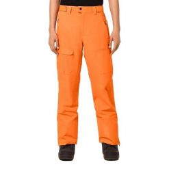 Oakley Spodnie Divisional Foa404738-700. Brązowe spodnie snowboardowe męskie Oakley, m, bez wzorów, narciarskie. Za 658.99 zł.