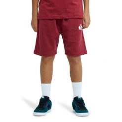 Spodenki z elastyczną talią dla Chłopcy EASY DAY Czerwony. Czerwone szorty dla chłopców Quiksilver, na lato, bez wzorów, z bawełny. Za 119.99 zł.