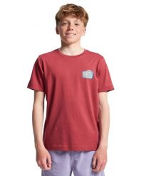 Koszulka z krótkim rękawem dla Chłopcy HERITAGE Czerwony. Czerwone t-shirty dla chłopców Quiksilver, bez wzorów, z bawełny, bez ramiączek. Za 42.50 zł.