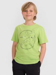4F T-shirt regular z nadrukiem chłopięcy - zielony 146 (10-11 lat). Zielone t-shirty dla chłopców 4f, bez wzorów, z bawełny, bez ramiączek. W wyprzedaży za 29.99 zł.